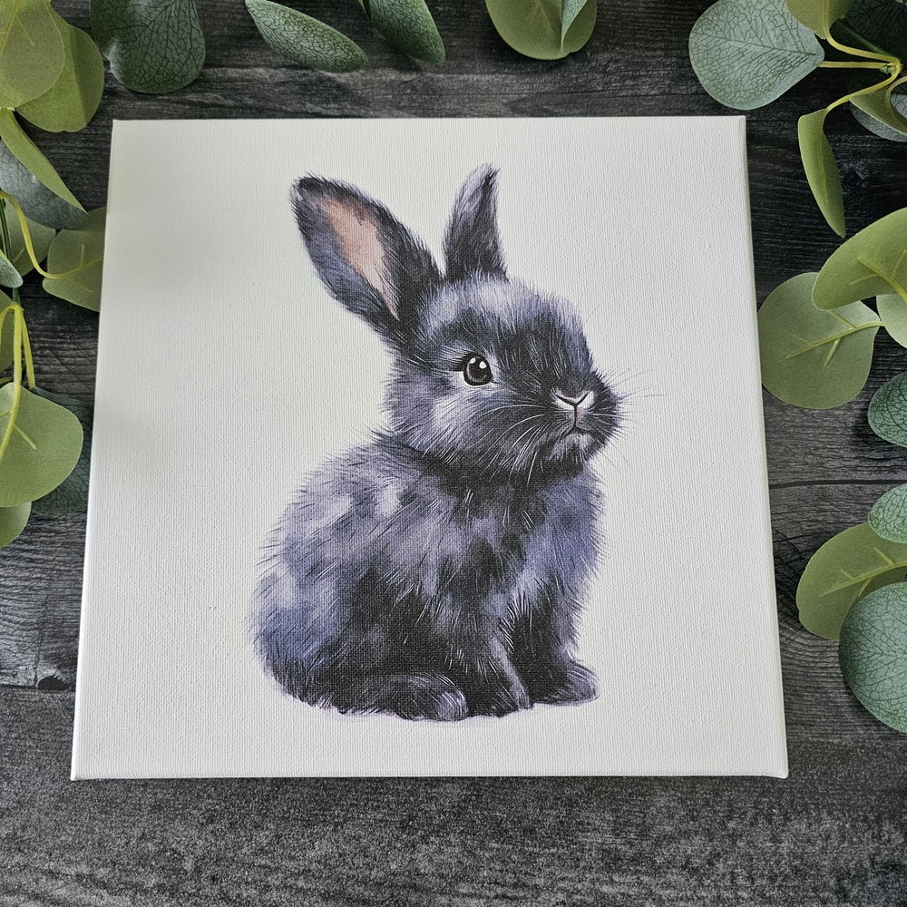 Black Bunny Canvas Art